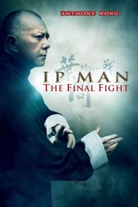 IP MAN FINAL FIGHT - borsalino distribution